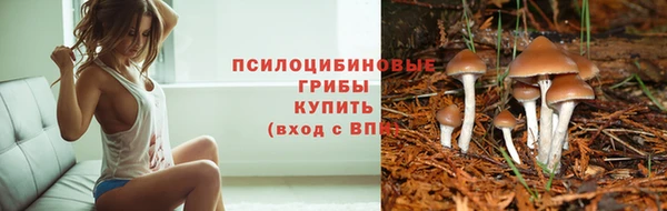mdpv Медвежьегорск